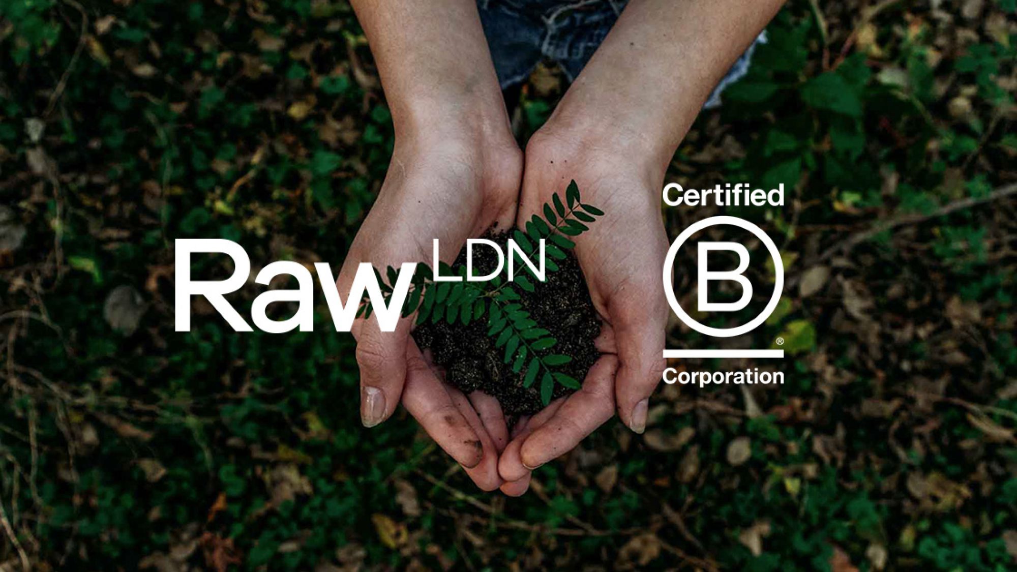 B Corporation logo and Raw London logo over hands holding a plant